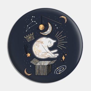 Dreaming Cat Pin