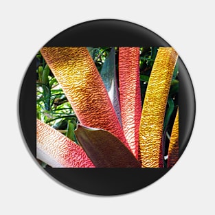 Leaves of Colour Pin