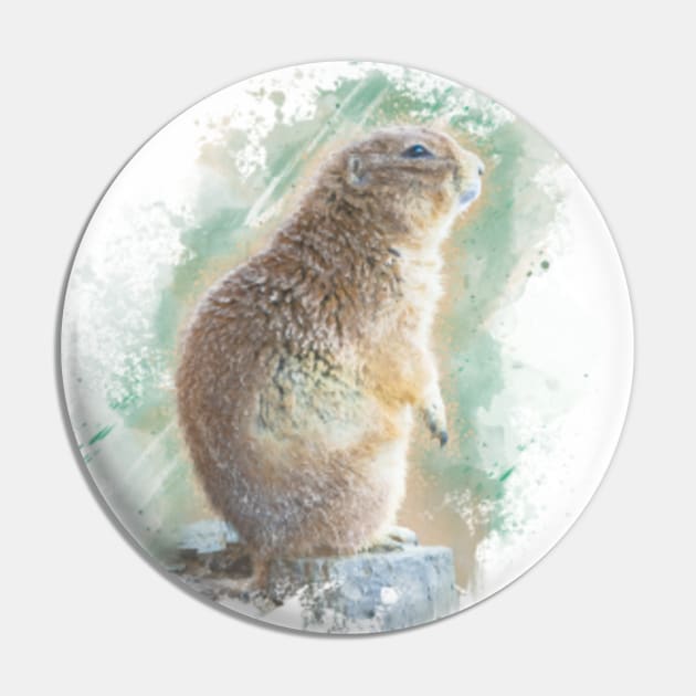 Marmot cirel clearance