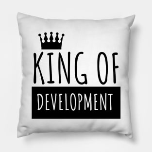 Develop King of development Pillow