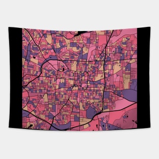 Greensboro Map Pattern in Purple & Pink Tapestry