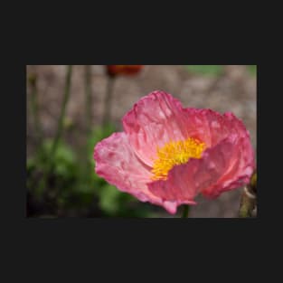 Pink Poppy T-Shirt