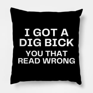 I got a dig bick Pillow