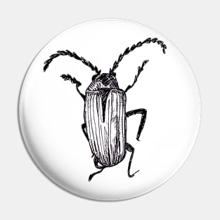 Crawlies Pin