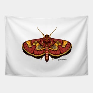 Distinguished Colomychus moth Tapestry