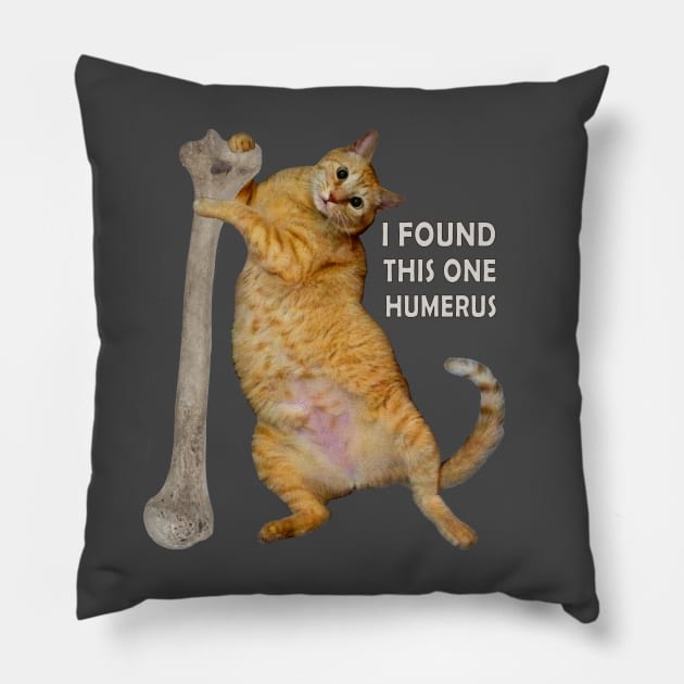 I found this one humerus. Pillow by RawSunArt