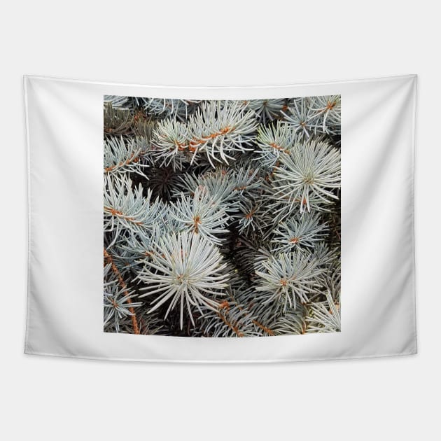 White Spruce Tapestry by DesignMore21