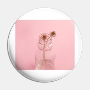 Francoise spring Pin