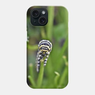 Swallowtail Caterpillar Phone Case