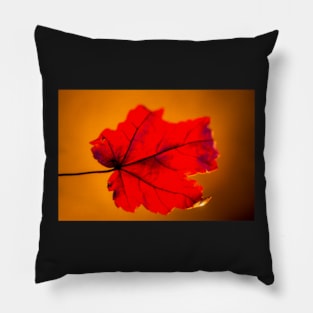 Red Autumn Maple Leaf Pillow