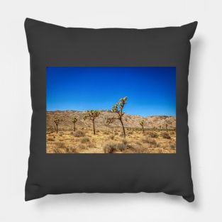 Joshua Tree National Park, California Pillow