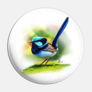 Fine-tailed Wren pretty birdie Pin