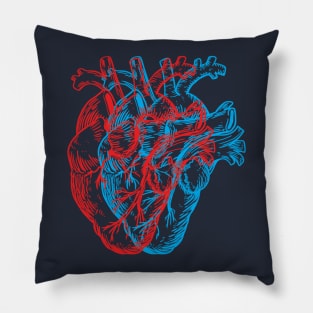 3D Human Heart Pillow
