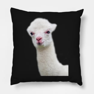 White Baby Alpaca, Llama, Cria Pillow