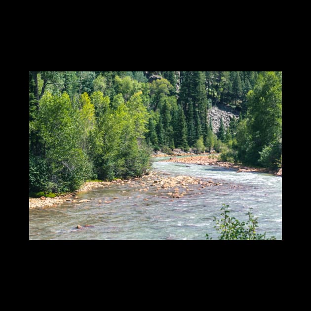 Animas River by Kelly Louise Art