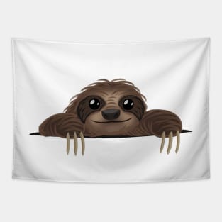 Pocket Sloth Tapestry