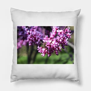 Bee on a flower Pillow