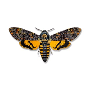 Death's Head Hawkmoth T-Shirt