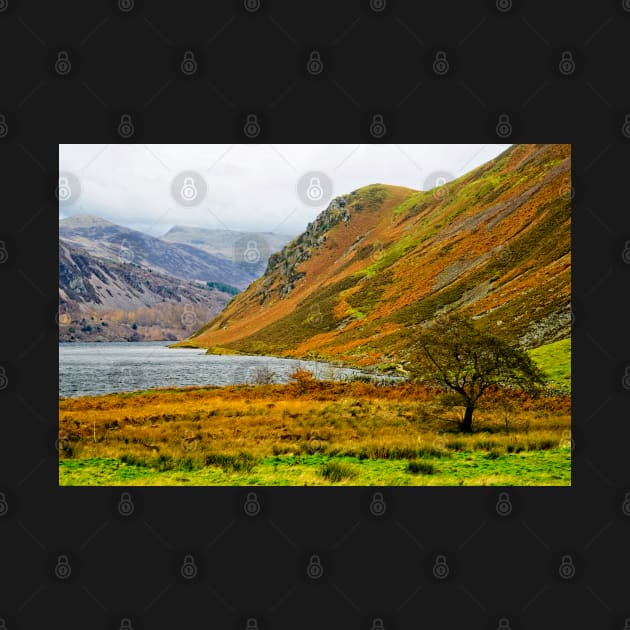 Ennerdale Water, Lake District by MartynUK