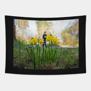 Yellow daffodils. Spring is coming stay active Tapestry