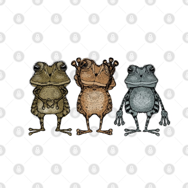 Frogs by msmart