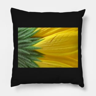 Yellow Daisy Macro Pillow