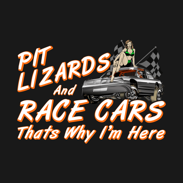 Funny Auto Racing by Nifty T Shirts