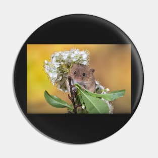 Cute Harvest Mouse Pin