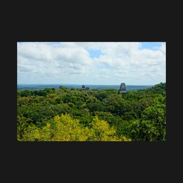 Guatemala - site archéologique de Tikal by franck380