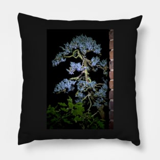 Bonsai Juniperus Meyeri At Night Pillow