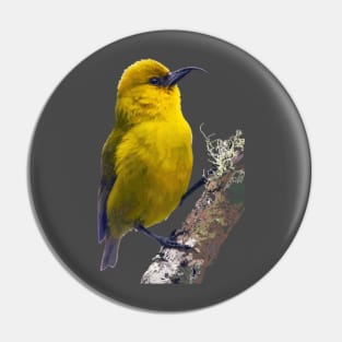 ‘Ākiapōlā’au, Hawaiian Bird #2 Pin