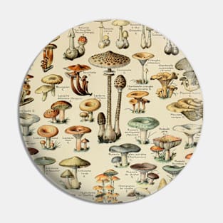 Mushrooms Vintage Botanical Illustration Pin