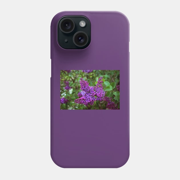 Vivid Purple Lilacs Phone Case by SeaChangeDesign