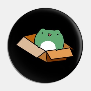 Box Frog Pin