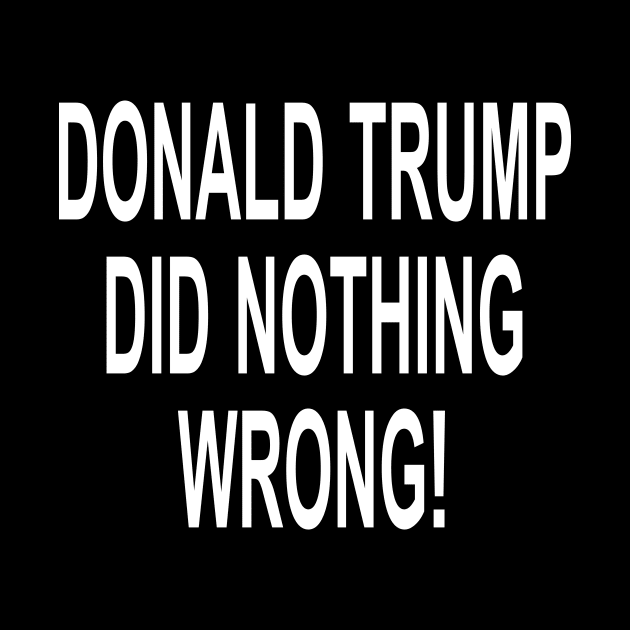 DONALD TRUMP DID NOTHING WRONG by l designs