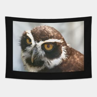 Spectacled Owl Tapestry