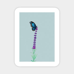 lavender and blue butterfly Magnet