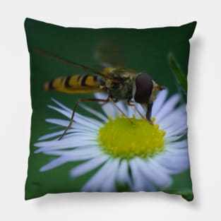 Hover-fly On Daisies Pillow