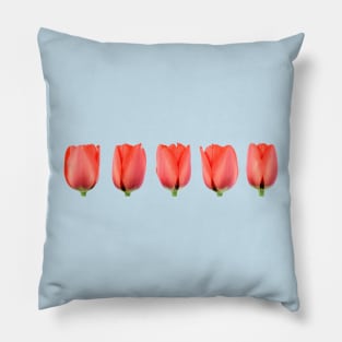 Red tulip Pillow