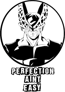 Perfection Aint Easy Magnet