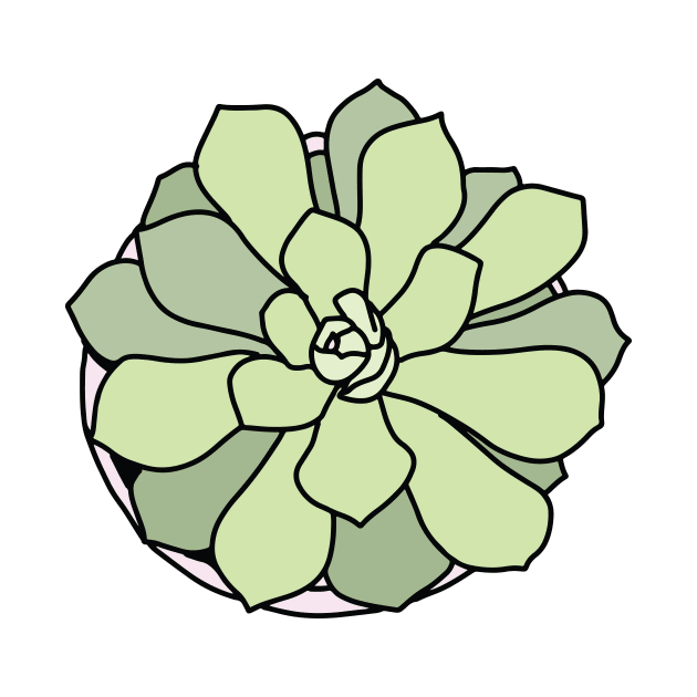 Green succulent by bigmoments
