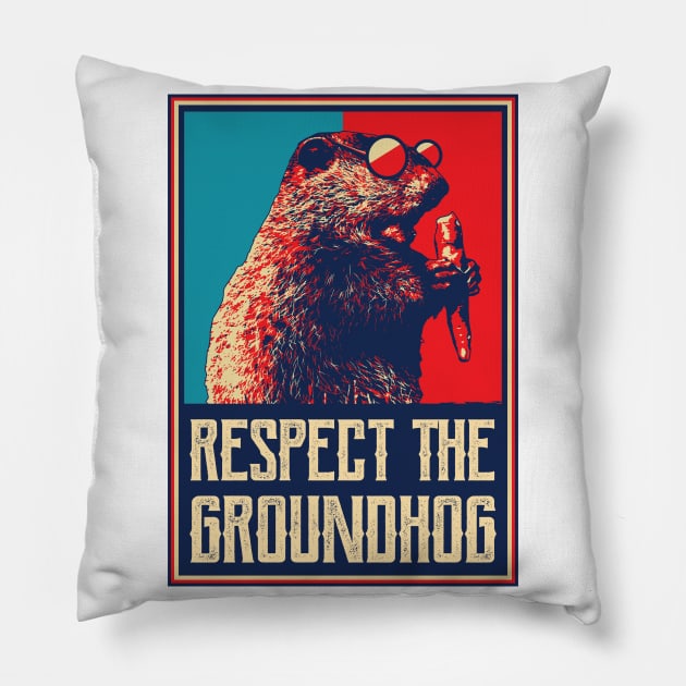 Respect The Groundhog Woodchuck Photo Ground Hog Day Pillow by aneisha