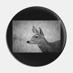 Watchful Doe B&W Pin