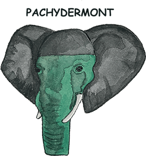 Pachydermont Vermont Elephant Shirt Magnet