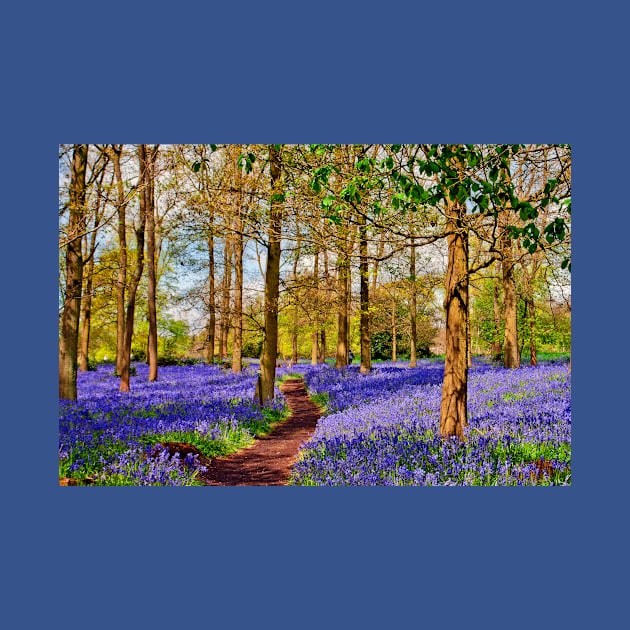 Bluebell Woods Greys Court England UK by AndyEvansPhotos