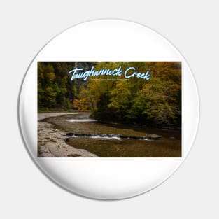 Taughannock Creek Tompkins County New York Pin