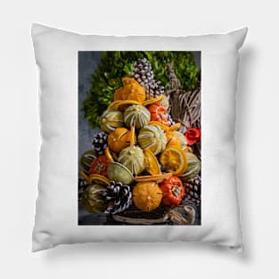 Display of Seasonal Dried Fruits Pillow