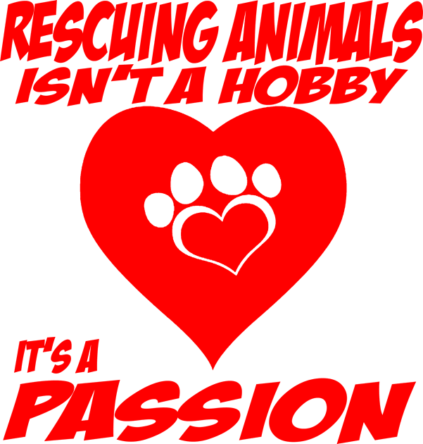 Rescuing Animals Kids T-Shirt by Stitched Clothing And Sports Apparel