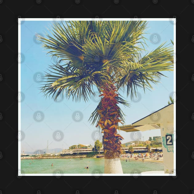 Pretty picture of a Palm Tree. Pretty Palm Trees Photography design with blue sky by BoogieCreates