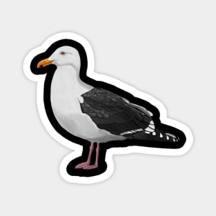 Seagull Bird Watching Birding Ornithologist Gift Magnet